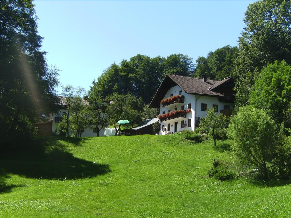 Bauernhof Familie Knoblechner Villa Nussdorf am Attersee Bilik gambar